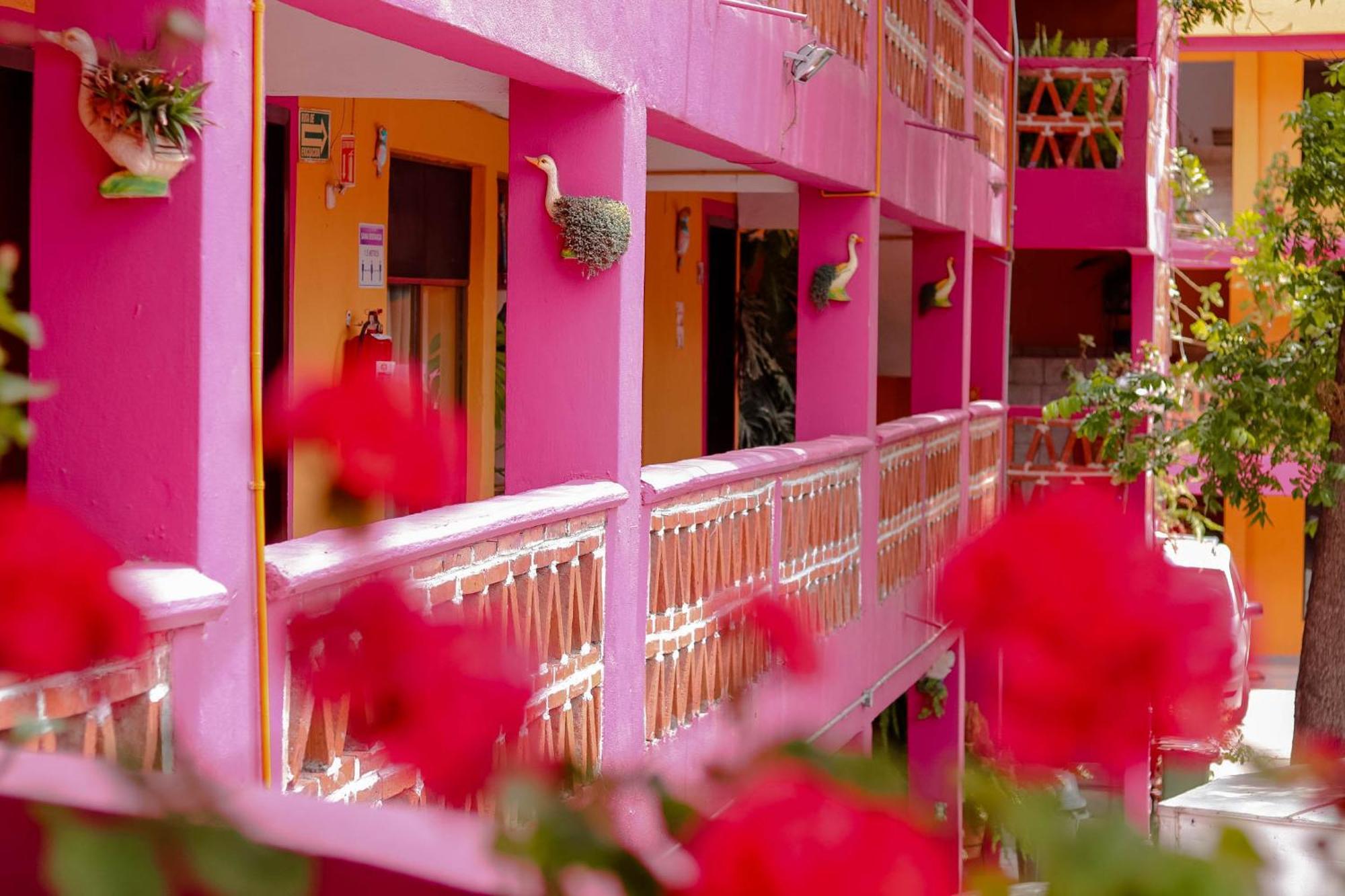 Hostel El Jazmin De Zanya Dolores Hidalgo Exterior foto